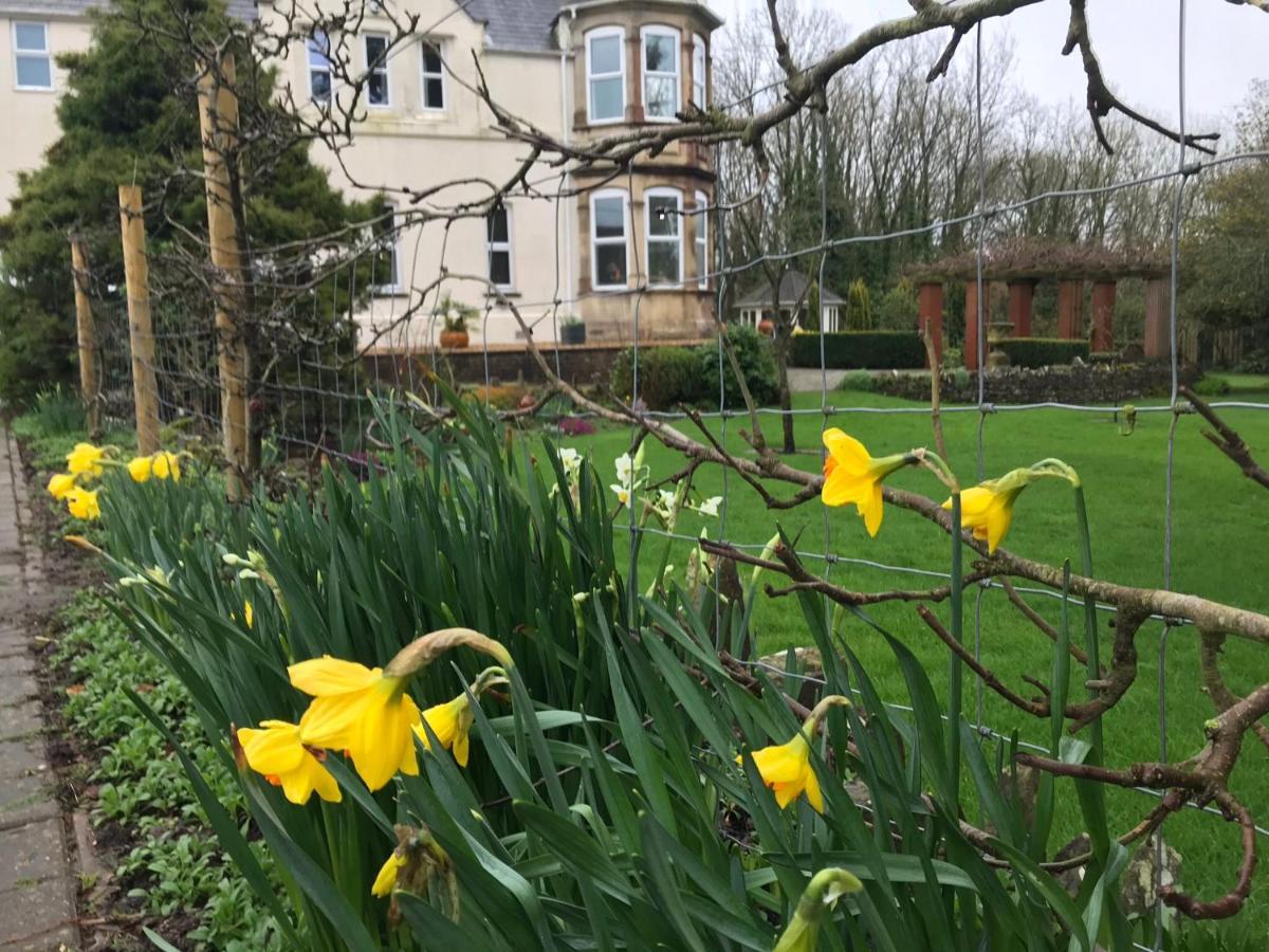 Holywell House B & B 에버샷 외부 사진